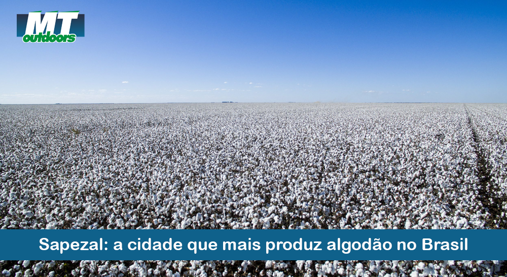 Sapezal: a cidade que mais produz algodão no Brasil