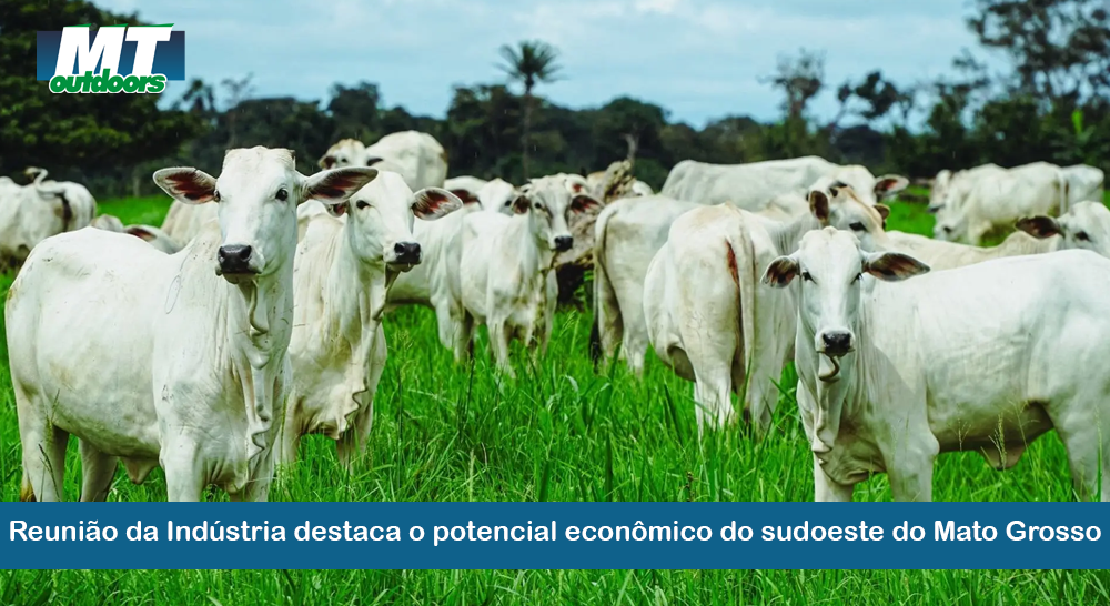Reunião da Indústria destaca o potencial econômico do sudoeste do Mato Grosso