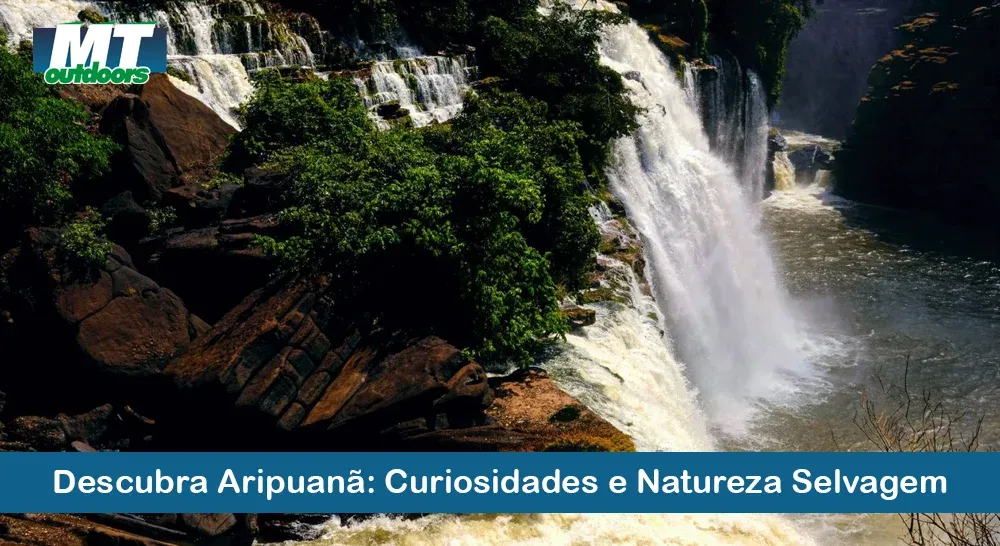 Descubra Aripuanã: Curiosidades e Natureza Selvagem