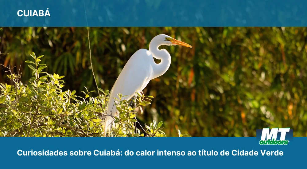 Curiosidades sobre Cuiabá: do calor intenso ao título de Cidade Verde