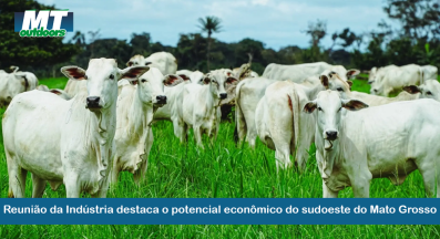 Ponto nº Reunião da Indústria destaca o potencial econômico do sudoeste do Mato Grosso