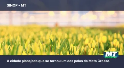 Ponto nº Conheça Sinop: a cidade planejada que se tornou um dos polos de Mato Grosso