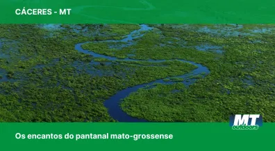 Ponto nº Os encantos do Pantanal mato-grossense: a biodiversidade de Cáceres e sua relevância mundial